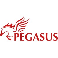 Pegasus logo - Similar company to Zen Projects