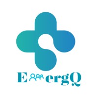 EmergQ logo - Similar company to Lancs Networks