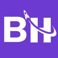 BrandWise Hub logo - Similar company to Digit Xperts