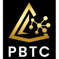 Pyramid Build-Tech Chemicals