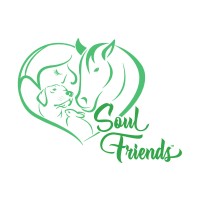 Soul Friends, Inc logo - Similar company to Community Child Guidance Clinic