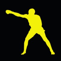 Socialpuncher logo - Similar company to Ixtrom Group Inc.