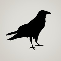 Stone Raven Consulting