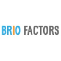 Brio Factors Technologies India Private Limited logo - Similar company to Snippet Technologies