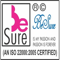 BESURE HEALTHCARE PVT LTD logo - Similar company to Velirs