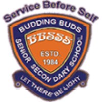 Budding Buds Senior Secondary School logo - Similar company to Delsat Technologies