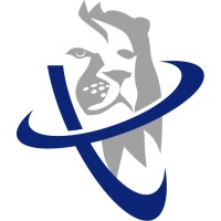 Telion Consulting Inc. logo - Similar company to Transformados Ruiz
