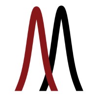 MSI Software Solutions logo - Similar company to Jil Software Solutions