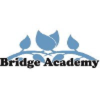 Bridge Academy HK logo - Similar company to Sentor Network