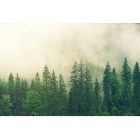 NaturRefugium logo - Similar company to Growing Trees Network