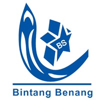 Bintang Shafwan logo - Similar company to Pt Silver Lining Consulting