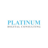 Platinum Digital Consulting logo - Similar company to Union Risk Services
