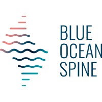Blue Ocean Spine GmbH logo - Similar company to Procon Implants Gmbh