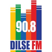 Dilsefm logo - Similar company to Mannath Group International
