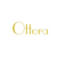 Ottora technology -Laser beauty machine logo - Similar company to Beijing Transfar Electronics Group Co., Ltd,