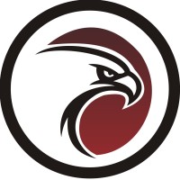 Falcon Infosystems logo - Similar company to Webcon It Solutions P Limited