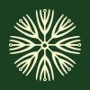 Critical Signals logo - Similar company to Possibility Studies Network