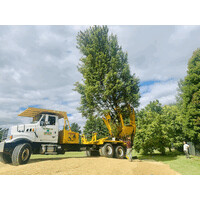 Tree Movers, Inc. logo - Similar company to Terra Works