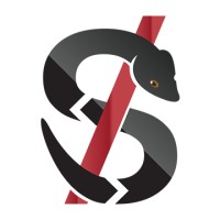 Snakescript Solutions LLP logo - Similar company to Biccns