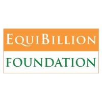 EquiBillion Foundation logo - Similar company to Donate An Hour - Doar India