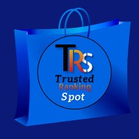 SEO Ranking Agency logo - Similar company to Digital Elite Solutions | Seo Agency