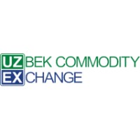 uzex logo - Similar company to Cert Academy