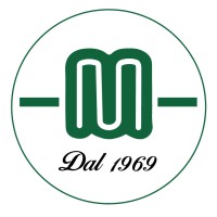 Mantovani Sistemi - F.lli Mantovani SnC logo - Similar company to Elettronica E Sicurezza Srl