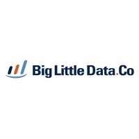Big Little Data Co