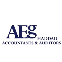 AEG HADDAD - Accountants & Auditors logo - Similar company to Hiltric