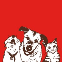 Stella & Chewy's logo - Similar company to Primal Pet Group