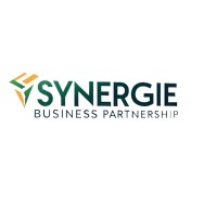 Synergie Business Partnership logo - Similar company to Dv Consulting