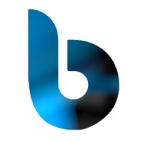 Blidus Technology & Marketing Solutions Pvt. Ltd