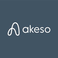 Akeso logo - Similar company to Akeso