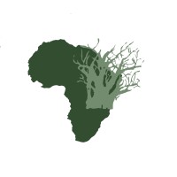 Itinerant Resources Plc logo - Similar company to Karelian Diamond Resources Plc (Kdr)