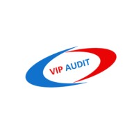 VipAudit • ვიპაუდიტი logo - Similar company to Urban Elements Llc