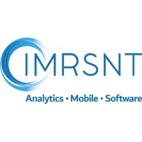 Immersant Data Solutions logo - Similar company to Anigami Studio