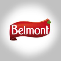 Vinagre Belmont logo - Similar company to Fundamento Consultoria Industrial