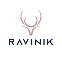 Ravinik logo - Similar company to Rangmayee