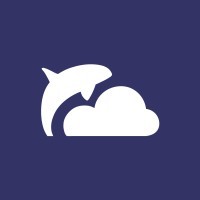 Cloud Orca logo - Similar company to Cooper Parry