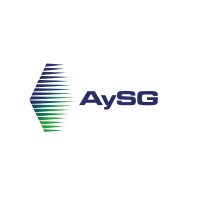 Asesoría Y Servicio Global S.A. De C.V.