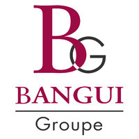 BANGUI Groupe logo - Similar company to Solweig
