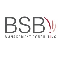 BSB Management Consulting logo - Similar company to Bsb Consulting