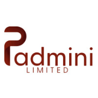 Padmini logo - Similar company to Mega It Inc