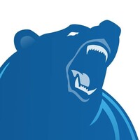 Big Bear Software Inc. logo - Similar company to Heliosol Software Solutions Inc.