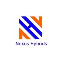 Nexus-Hybrids logo - Similar company to Beanbags - Software House &  It Solutions