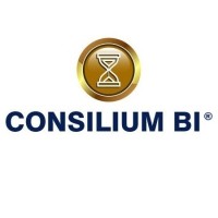 Consilium BI logo - Similar company to Only Wings