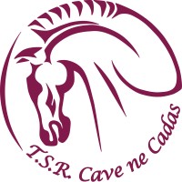 T.S.R. Cave ne Cadas logo - Similar company to Mediation Lef