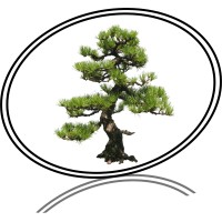 The Money Tree Group Limited