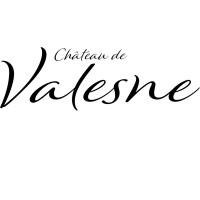 Valesne logo - Similar company to Kuda