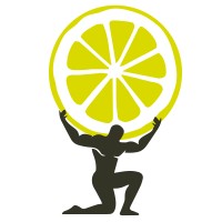 basefactor logo - Similar company to Solar Labs